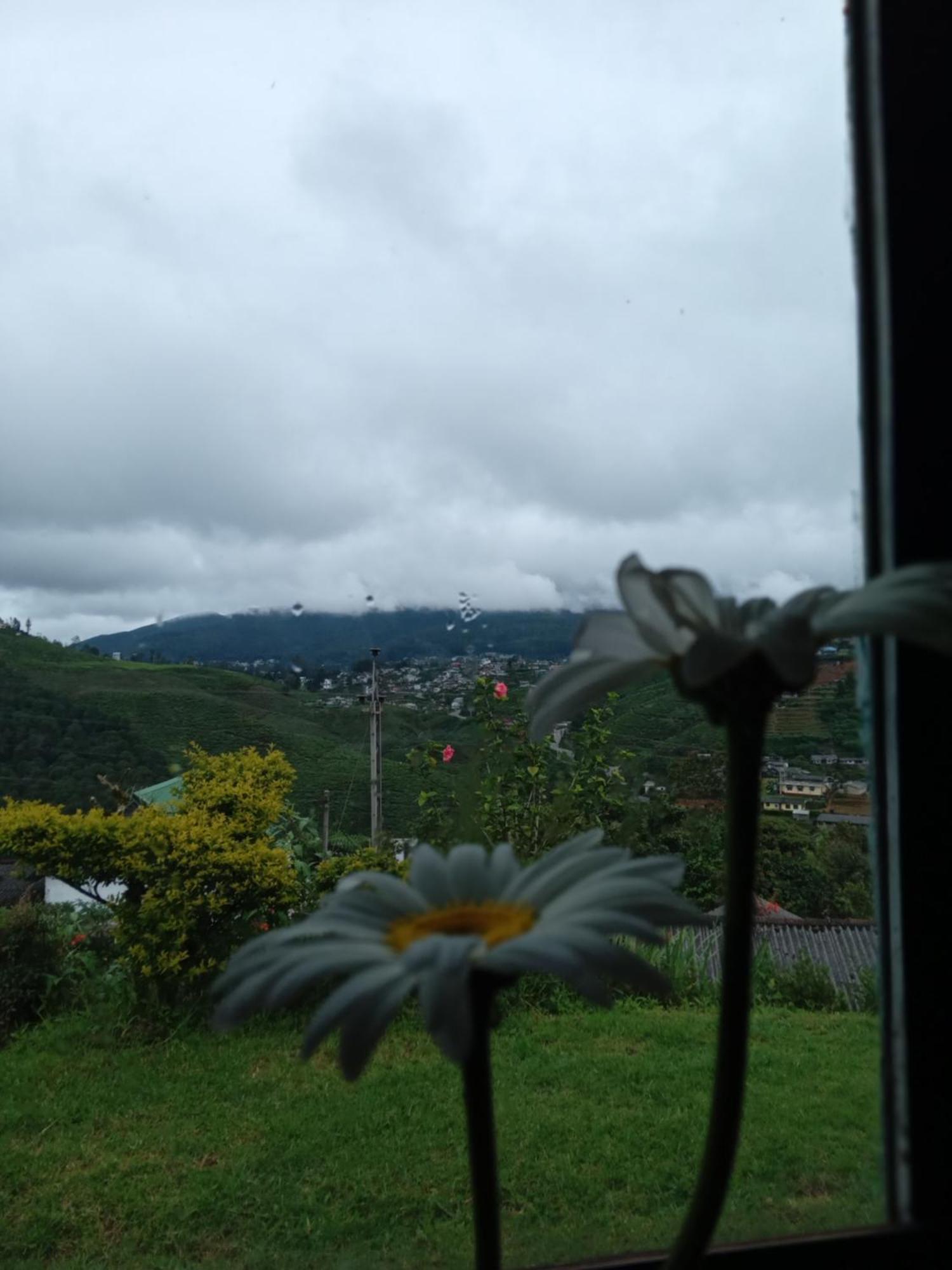 Mount View Cottage 努沃勒埃利耶 外观 照片